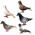 Foam Pigeon Model for Home Decor