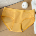 Breathable Casual Shorts Regular Length