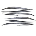 Crestliner Boat Decals P539905 SW Gray Black by Crestliner
