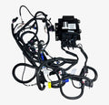 Mercury 8m0158674, Quad Jpo Harness With Bracket | Hook & Hull Co