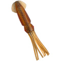 Saltwater Squid Lure Hollow Body