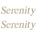 Crestliner Boat Decals Serenity Gold Stickers Pair by Crestliner