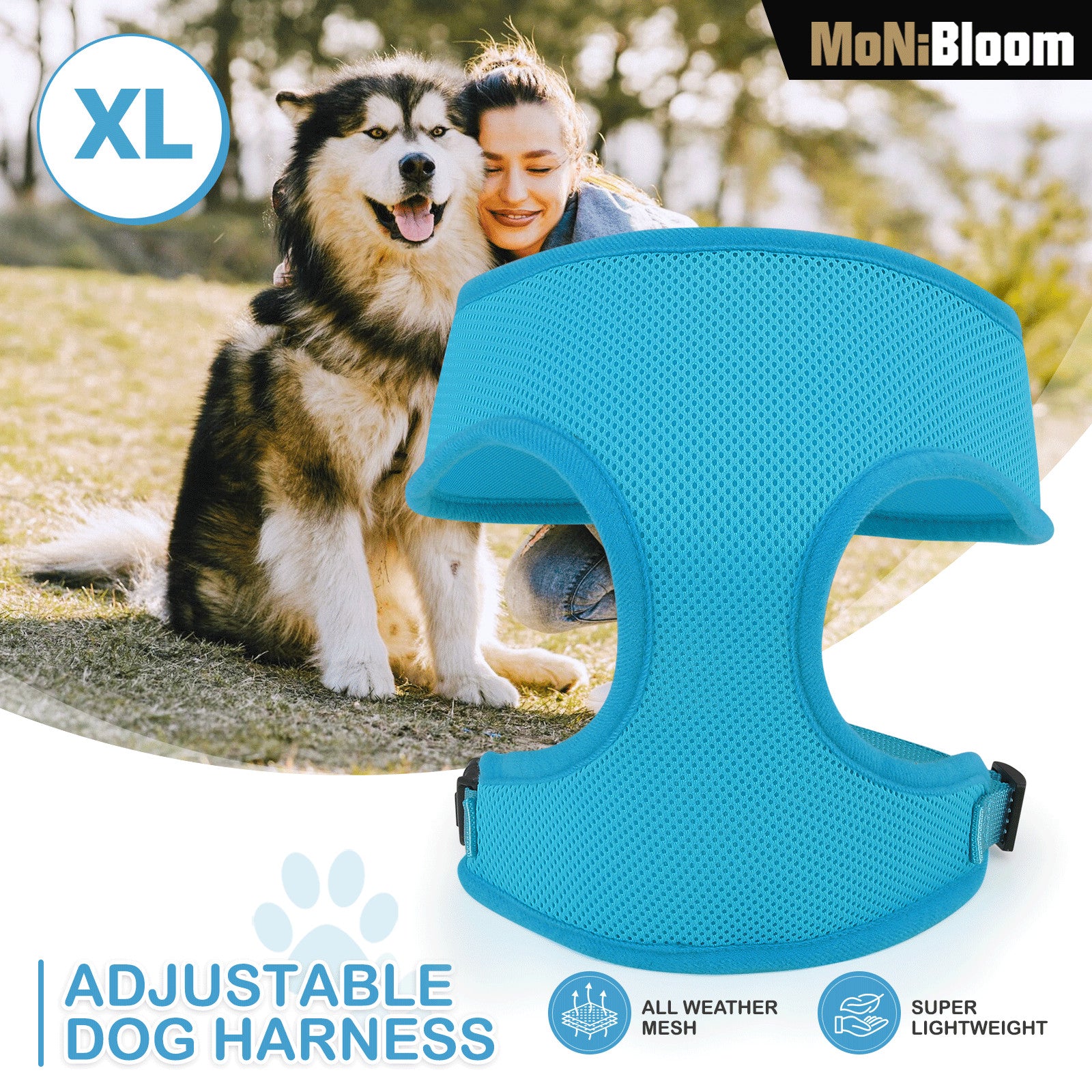Adjustable Dog Harness - Breathable Mesh Vest