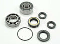 WSM Platinum Series Top End Kit for Sea-Doo 947/951 by WSM