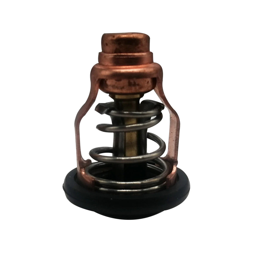 Thermostat – Yamaha F100D 100HP