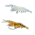 Long Shank Hook Shrimp Fishing Bait