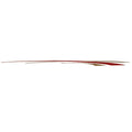 Rinker Boat Hull Graphic Decal 212 Burgundy Gold by Rinker