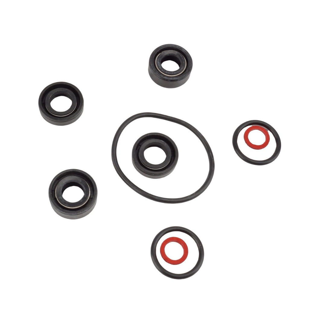 Lower Unit Seal Kit for Yamaha 2HP Outboard Motor