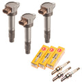 Sea Doo Ignition Coil & NGK Plug Kit by Sea Doo