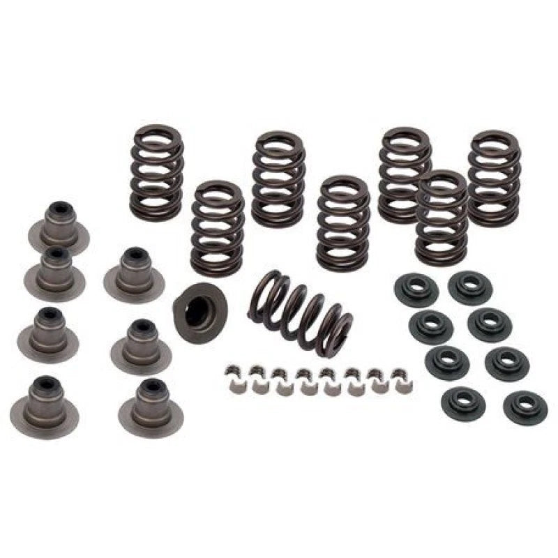 S&s Cycle 2017+ M8 Models Valve Spring Kit - .605in
