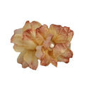 Hair Accessories Unique Style Hair Clip