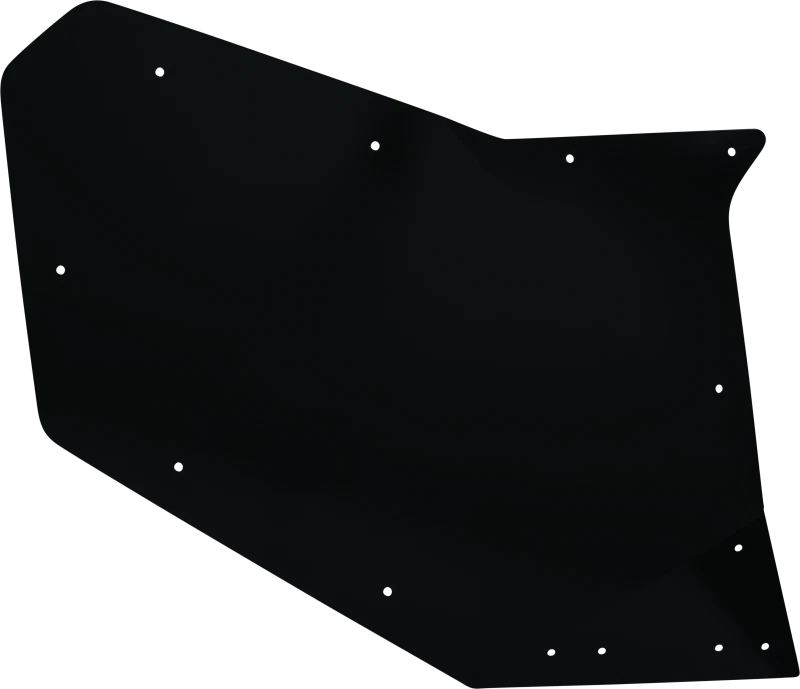 Dragonfire Racing Rear Driver Side Door Skin For 522137