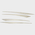 Ascend Boat Decal 324569 Canoe 128T Yak 5 3/4 x 2 3/4 Inch by Ascend