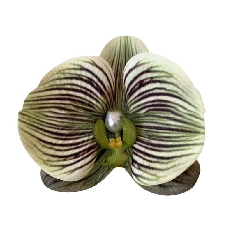 Butterfly Orchid Hair Clip for Styling