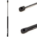 Boat Gas Shock Associated Spring 20 Inch 15 LB Black by Associated Spring