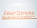 Johnson Evinrude Four Stroke Electronic Fuel | Hook & Hull Co
