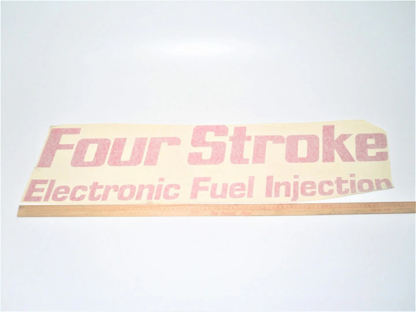 Johnson Evinrude Four Stroke Electronic Fuel | Hook & Hull Co
