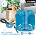 Breathable Dog Harness and Leash Set