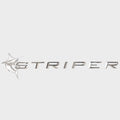 Raised Brand Decal 42 x 10 1/2 Inch Silver by Striper