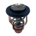 Thermostat 50°c For Suzuki Df 115 140 150 175 200 250 300 Hp