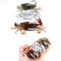 Crab Style Fishing Bait Soft Plastic