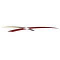 Rinker Boat Graphic Hull Decal Burgundy Gold by Rinker