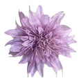 Anemone Flower Hairpin for Daily Use