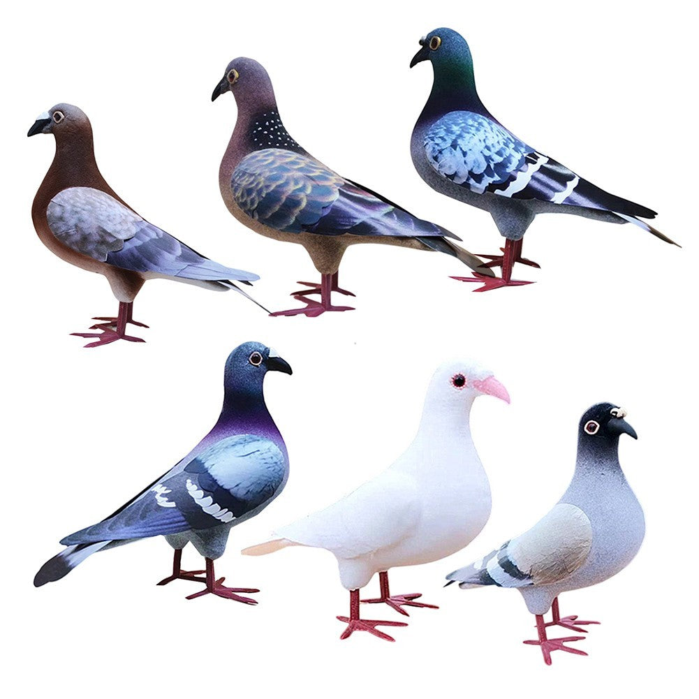 Realistic Pigeon Bird Model for Display