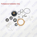 Fit Sherwood End Wear Plate 12856 Bearing G21 G9901 Pump Minor Repair