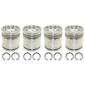 Qty 4: Standard Piston Fits David Brown Replaces K261707