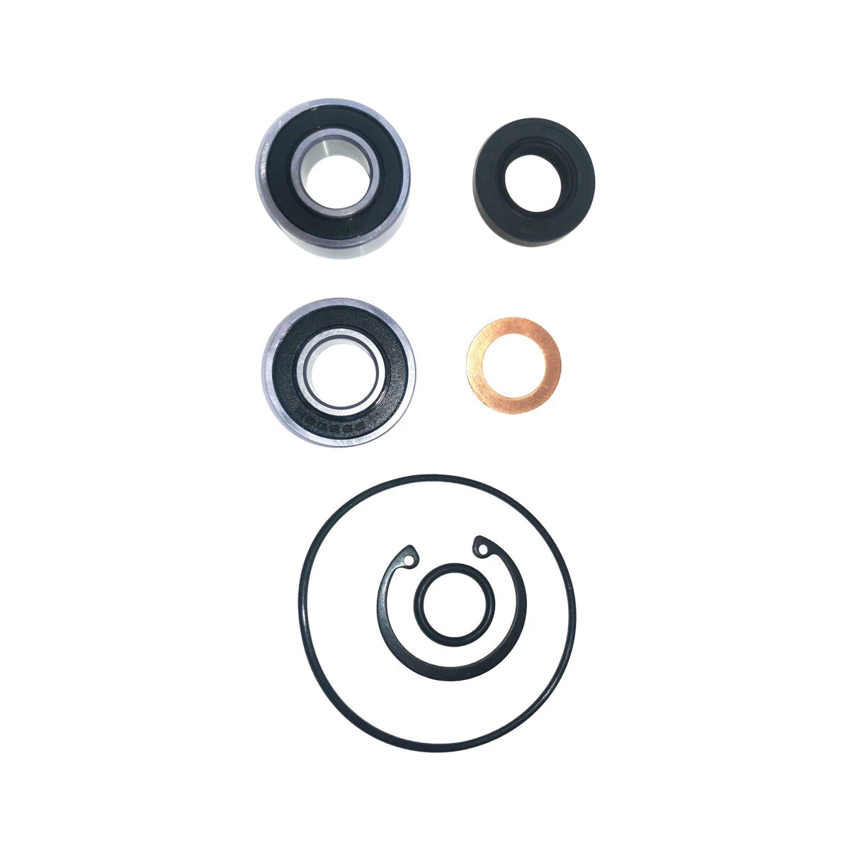 Major Repair Kit – Sherwood Pumps G903/G908