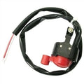 New Kill Switch For Polaris Gemini 1983