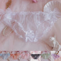 Sheer Mesh Women Underwear Lace Panties Bikini | Hook & Hull Co