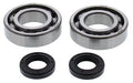 Crank Shaft Bearing Kit For Beta Rr 2t 250 2013-2022