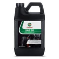Castrol 215307 Sae 30 Small Engine Synthetic Oil For 4-cycle Gas